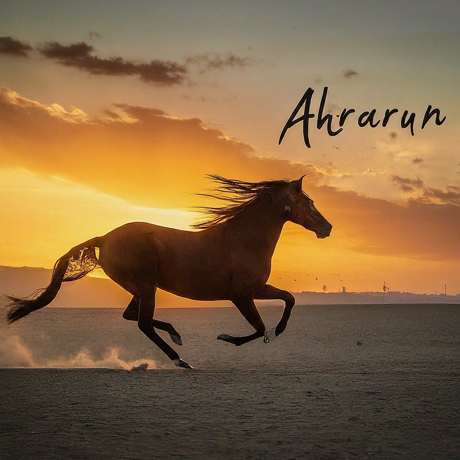 Ahrarun